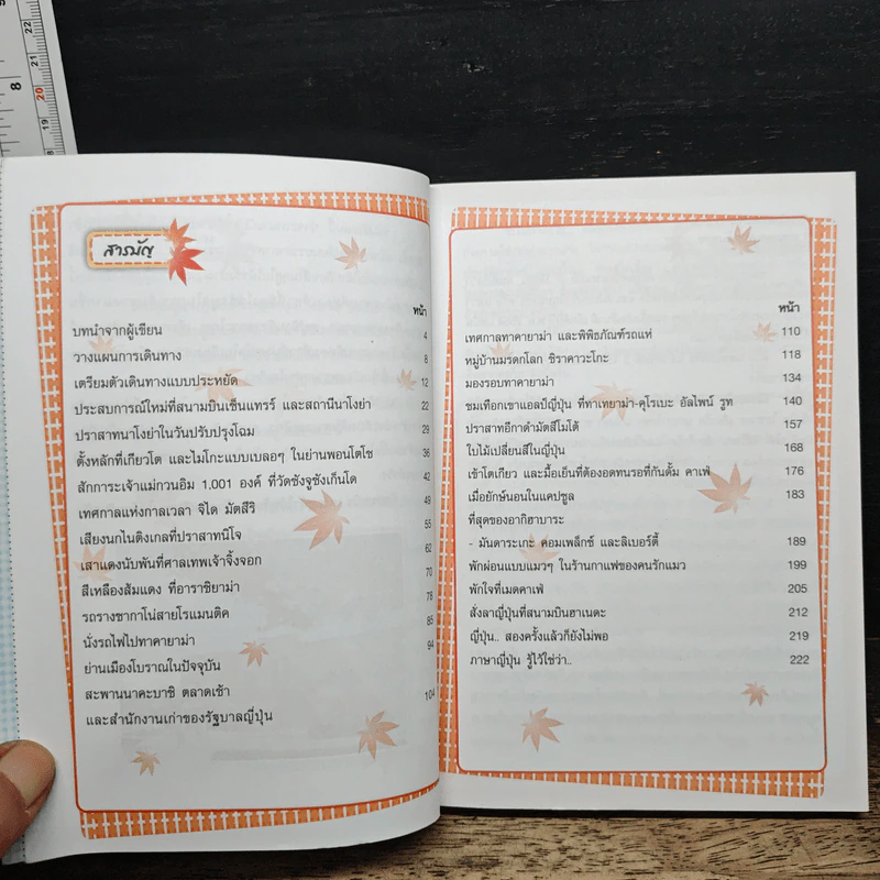แบกเป้ลุยเดี่ยว เที่ยวญี่ปุ่น - ณัฐ นาคะสุวรรณ รูปที่ 8