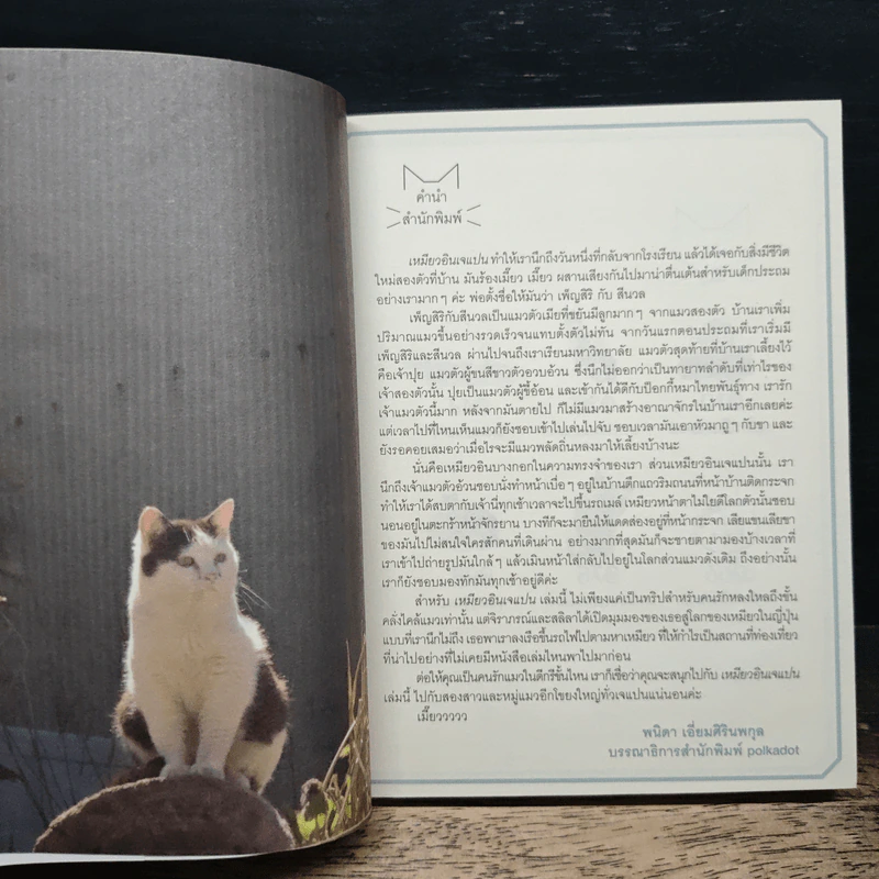 เหมียวอินเจแปน - จิราภรณ์ วิหวา, สลิลา มหันต์เชิดชูวงศ์ รูปที่ 6