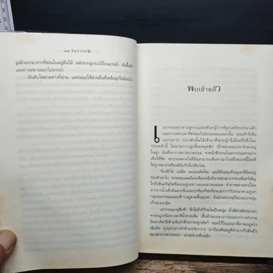 เอรากอน Eragon เล่ม 1 - Christopher Paolini, สุดจิตต์ ภิญโญยิ่ง รูปที่ 11