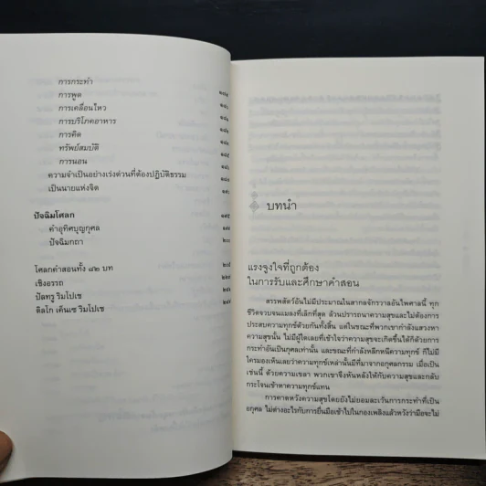 อริยทรัพย์แห่งผู้รู้แจ้ง - ดิลโก เค็นเซ ริมโปเช รูปที่ 10