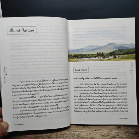 Hokkaido Summer สองวูฟเฟอร์ในทุ่งกว้าง - ปาลิดา พิมพะกร รูปที่ 8