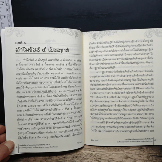 การปฏิบัติตามคำสอน ของพระพุทธเจ้าเพื่อปัญญา รูปที่ 8