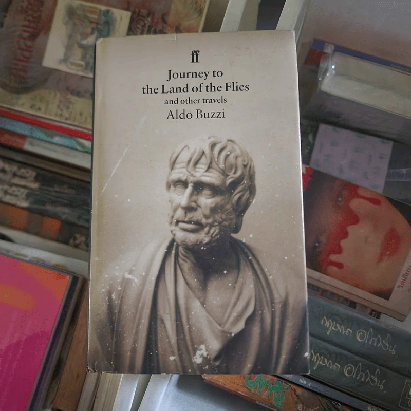 Journey to the Land of the Flies - Aldo Buzzi รูปที่ 1