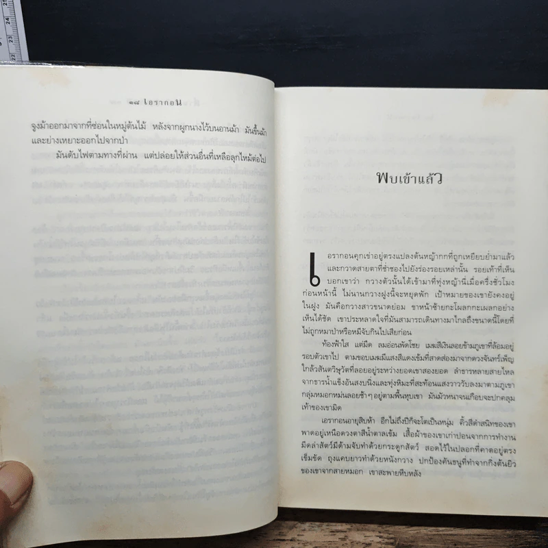 เอรากอน Eragon เล่ม 1 - Christopher Paolini, สุดจิตต์ ภิญโญยิ่ง รูปที่ 11