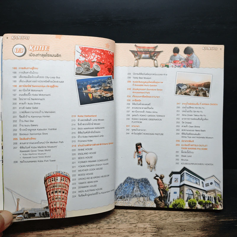 Japan Kansai เที่ยวญี่ปุ่น ฉบับตะลุยคันไซ - DPLUS GUIDE รูปที่ 9