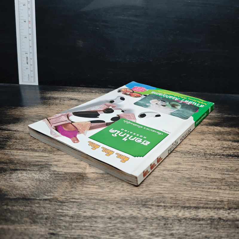 ฮอกไกโด Hokkaido เที่ยวสบายๆสไตล์คนญี่ปุ่น รูปที่ 5