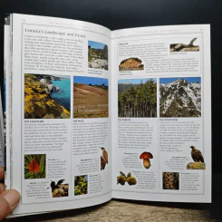 DK Eyewitness Travel Corsica รูปที่ 11