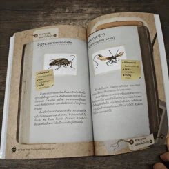 Bugs Bugs ศึกเวทมนตร์โรงเรียนแมลง เล่ม 8 รูปที่ 8