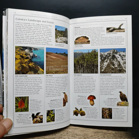 DK Eyewitness Travel Corsica รูปที่ 11