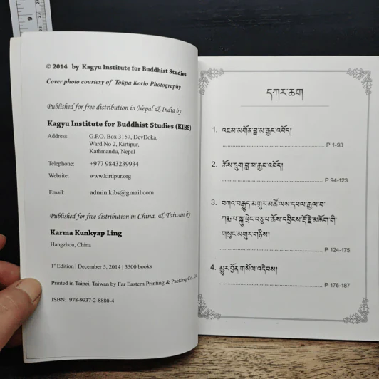 Calling Guru from Afar รูปที่ 6