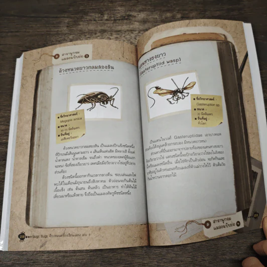 Bugs Bugs ศึกเวทมนตร์โรงเรียนแมลง เล่ม 8 รูปที่ 8