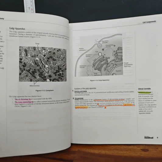 Kaplan Medical USMLE Step 1  4 Book Pharmacology, Anatomy, Qbook, Physiology รูปที่ 13