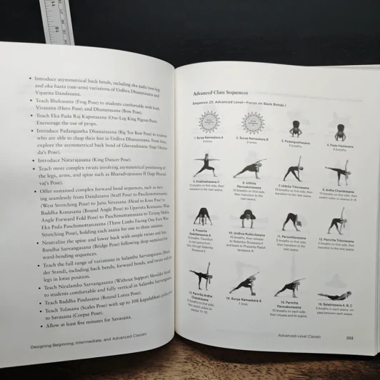 Yoga Sequencing - Mark Stephens รูปที่ 11