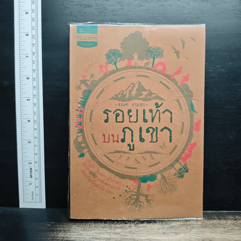 รอยเท้าบนภูเขา - ธเนศ งามสม รูปที่ 1