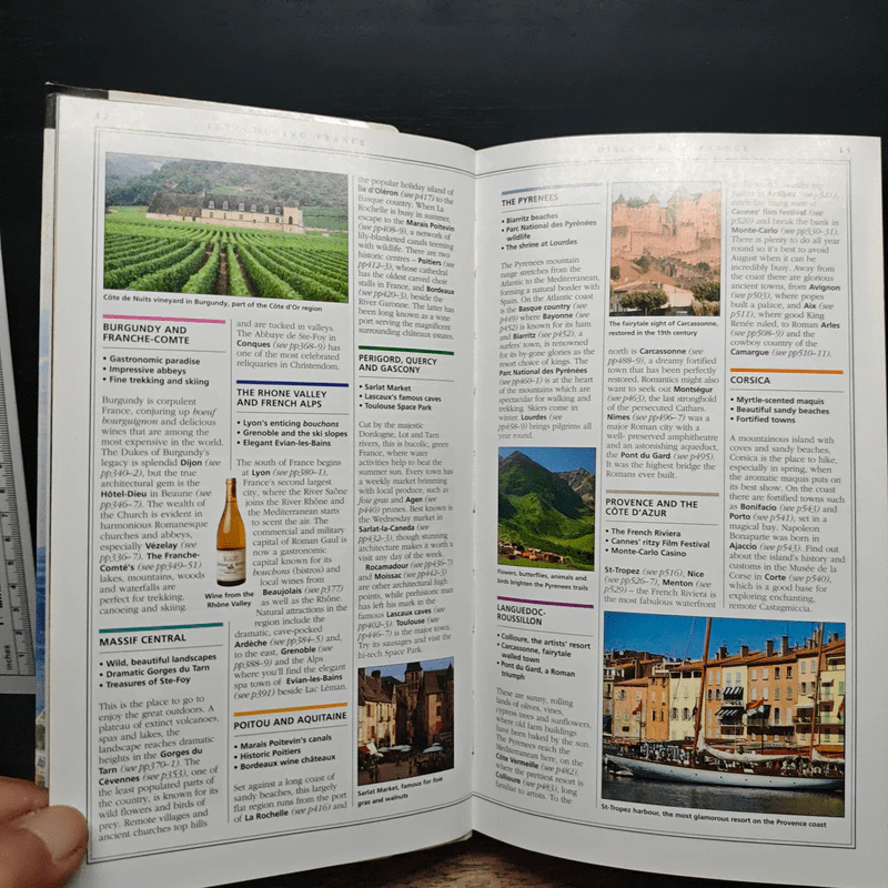 DK Eyewitness Travel France รูปที่ 8