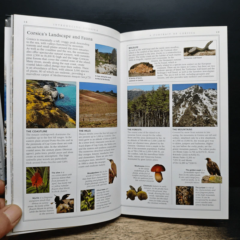 DK Eyewitness Travel Corsica รูปที่ 11