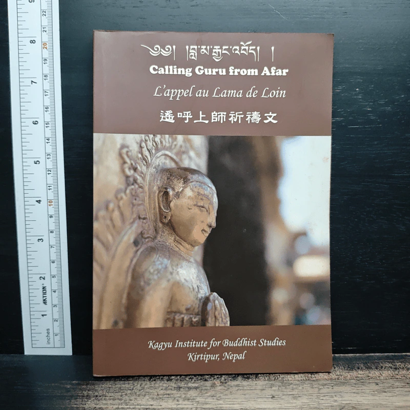 Calling Guru from Afar รูปที่ 1