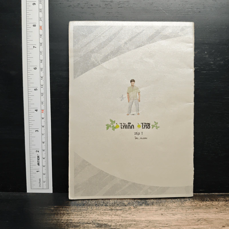 ไท้เก๊ก ไท้ชิ เล่ม 1 - หมอตง รูปที่ 2