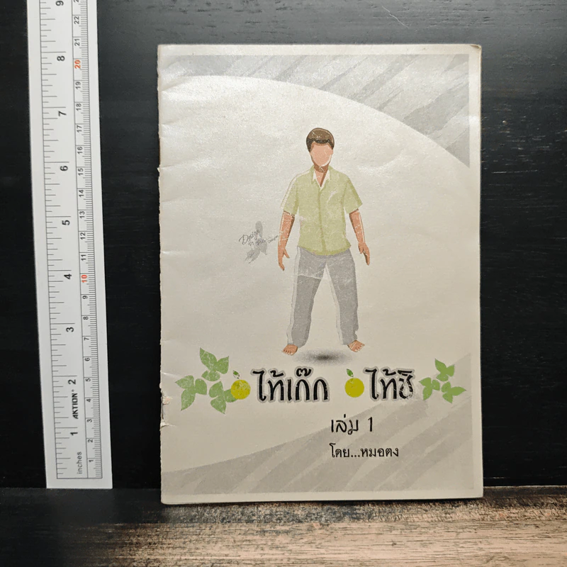 ไท้เก๊ก ไท้ชิ เล่ม 1 - หมอตง รูปที่ 1