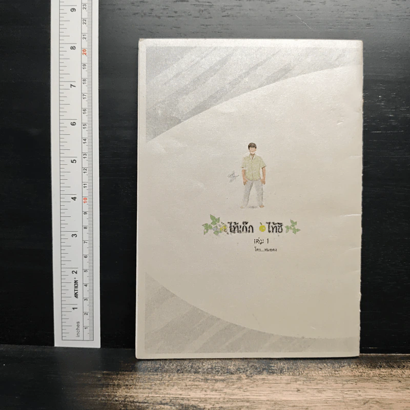 ไท้เก๊ก ไท้ชิ เล่ม 1 - หมอตง รูปที่ 2