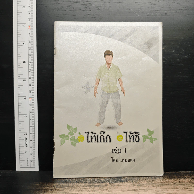 ไท้เก๊ก ไท้ชิ เล่ม 1 - หมอตง รูปที่ 1