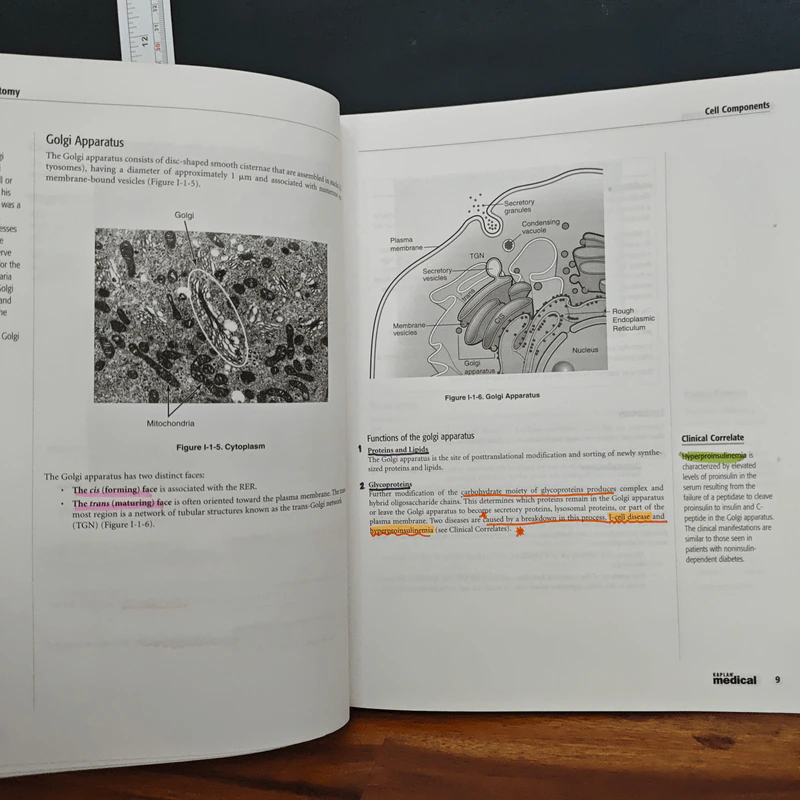 Kaplan Medical USMLE Step 1  4 Book Pharmacology, Anatomy, Qbook, Physiology รูปที่ 13