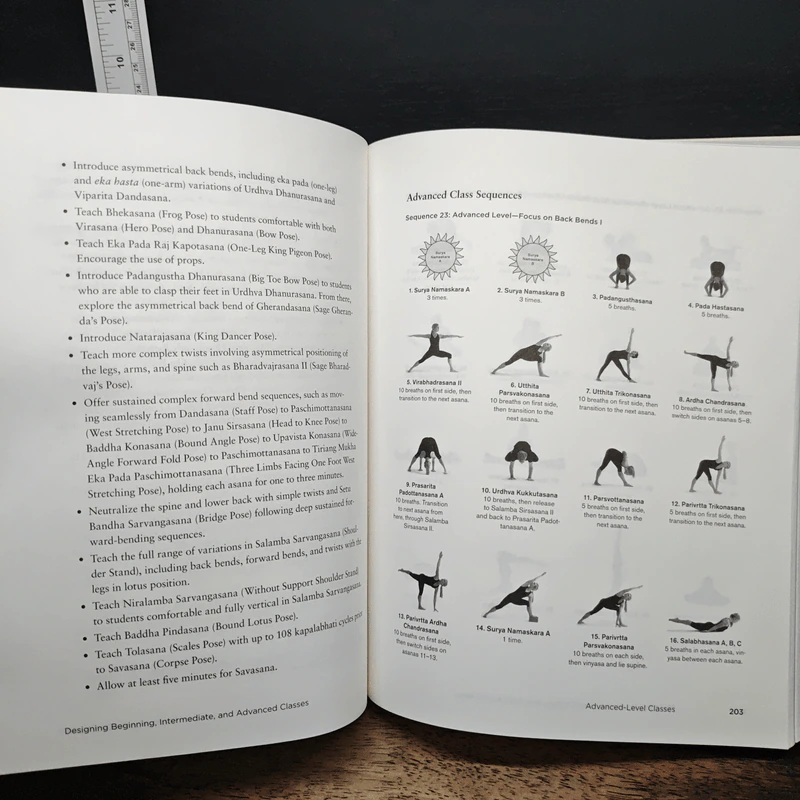 Yoga Sequencing - Mark Stephens รูปที่ 11
