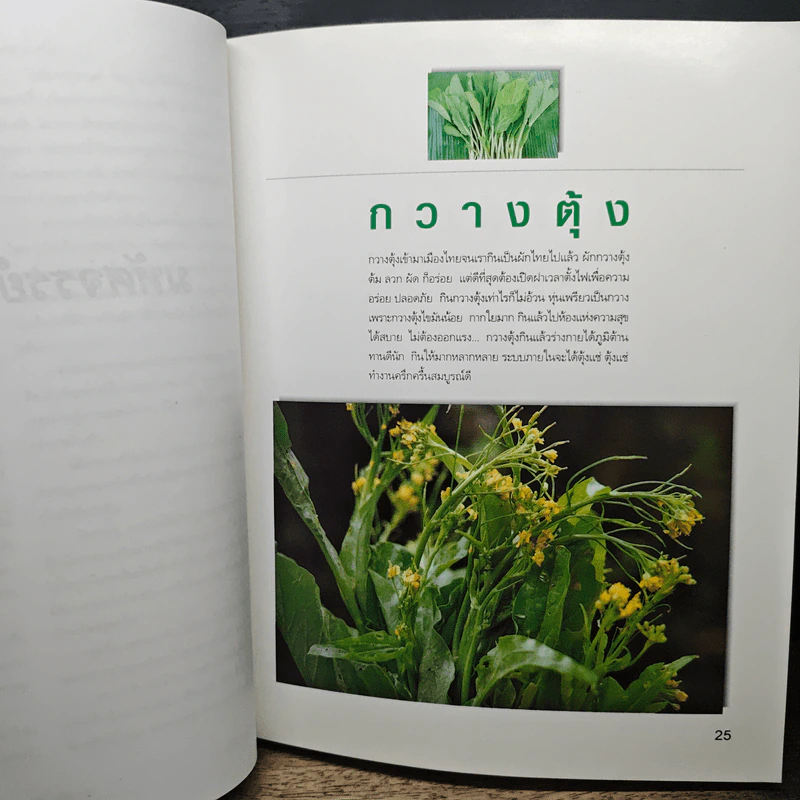 มหัศจรรย์ผัก 108 รูปที่ 11