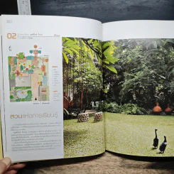 สวนจัดเอง 2 รูปที่ 10