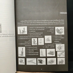 DRAWING หนังสือประกอบการฝึกทักษะวาดเส้นมัณฑนศิลป์ รูปที่ 6