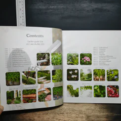 Garden Guide 40 Case Studies - ทิพาพรรณ ศิริเวชฎารักษ์ รูปที่ 6
