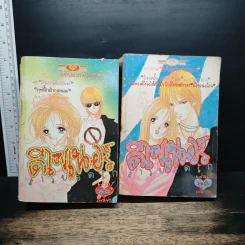 ดีไซเนอร์สาวยอดรัก 2 เล่มจบ