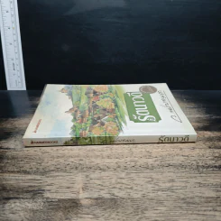 รัตนาวดี - ว.ณ ประมวลมารค รูปที่ 3