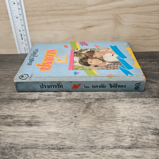 ปราการรัก - นภาลัย ไผ่สีทอง รูปที่ 2