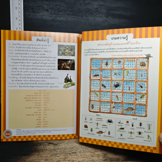 ข้าวไทย หนังสืออ่านเสริมบูรณาการกลุ่มสาระการเรียนรู้สำหรับเยาวชน รูปที่ 8