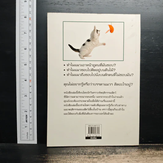รู้ไหมแมวคิดอะไรอยู่? - Gwen Bailey รูปที่ 2