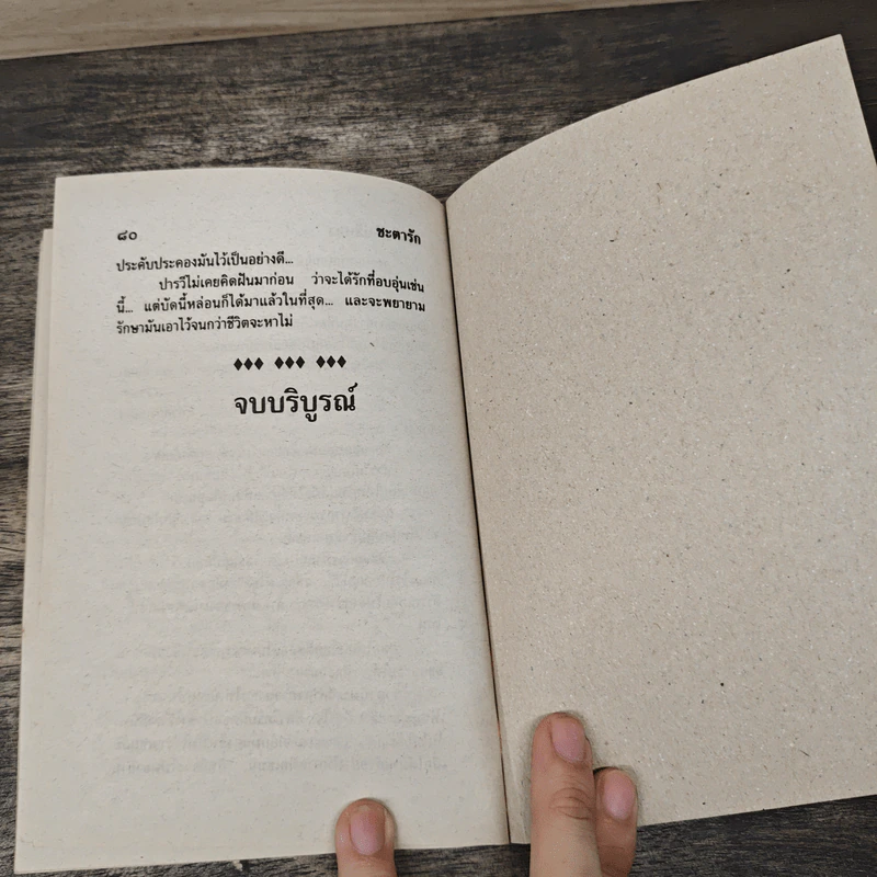 ชะตารัก - นภาลัย ไผ่สีทอง รูปที่ 8