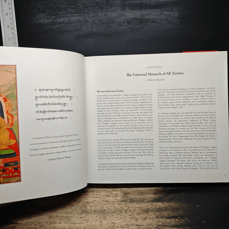 Terchen Chokgyur Dechen Zhikpo Lingpa - Kyabgön Phakchok Rinpoche รูปที่ 9