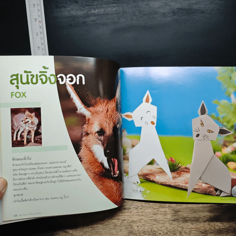 พับกระดาษเป็นรูปสัตว์ - นิยดา มูลทองชุน รูปที่ 9