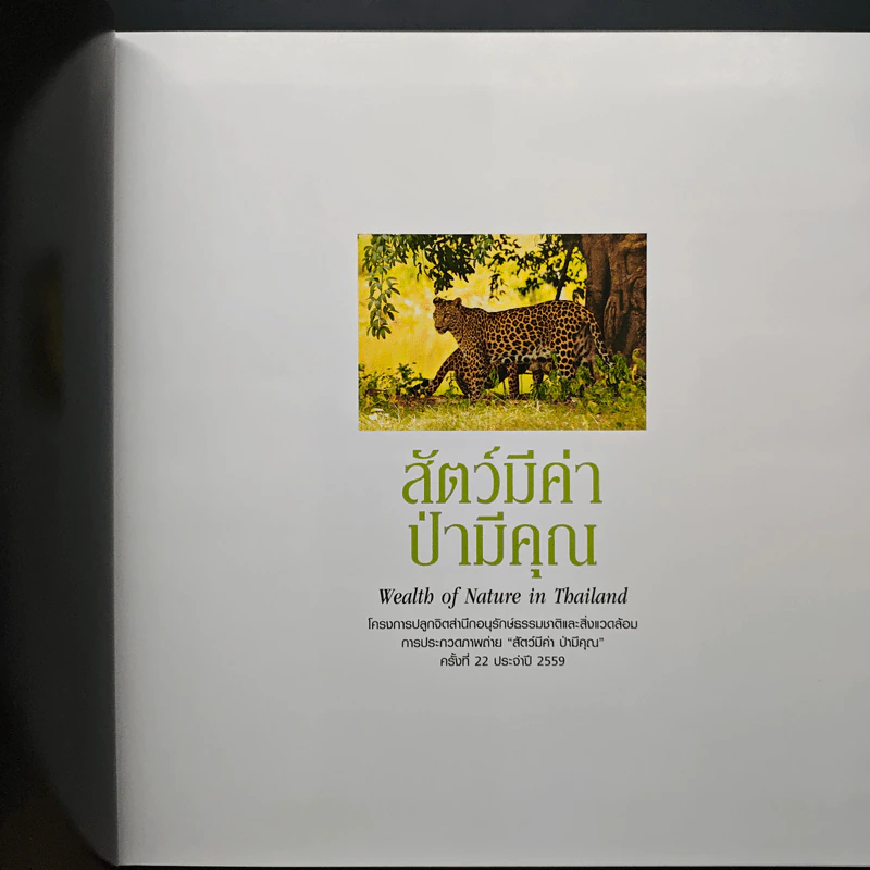 สัตว์มีค่า ป่ามีคุณ โครงการประกวดถ่ายภาพอนุรักษ์ธรรมชาติ ครั้งที่ 22 ประจำปี 2559 รูปที่ 6