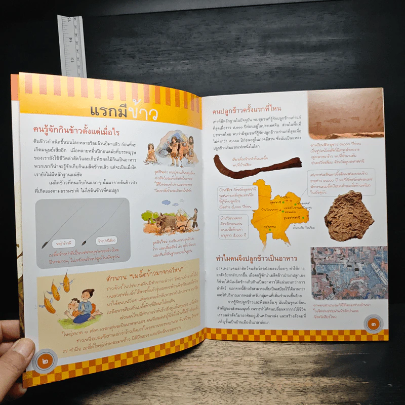 ข้าวไทย หนังสืออ่านเสริมบูรณาการกลุ่มสาระการเรียนรู้สำหรับเยาวชน รูปที่ 7