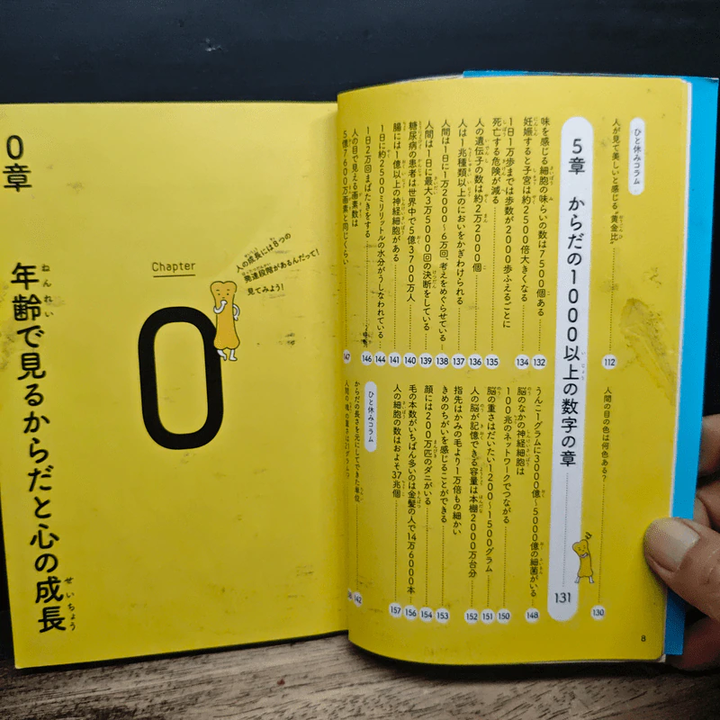 ざんねん？はんぱない！からだのなかのびっくり数事典 (ภาษาญี่ปุ่น) รูปที่ 10