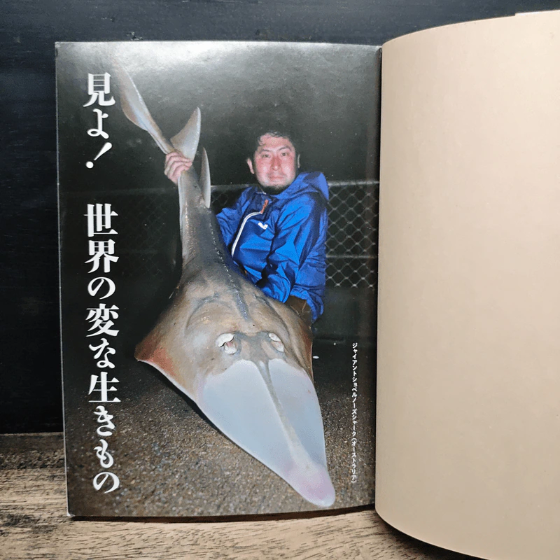 見たことのないものをつかまえたい! 世界の変な生き物探訪記 - 平坂寛 รูปที่ 6