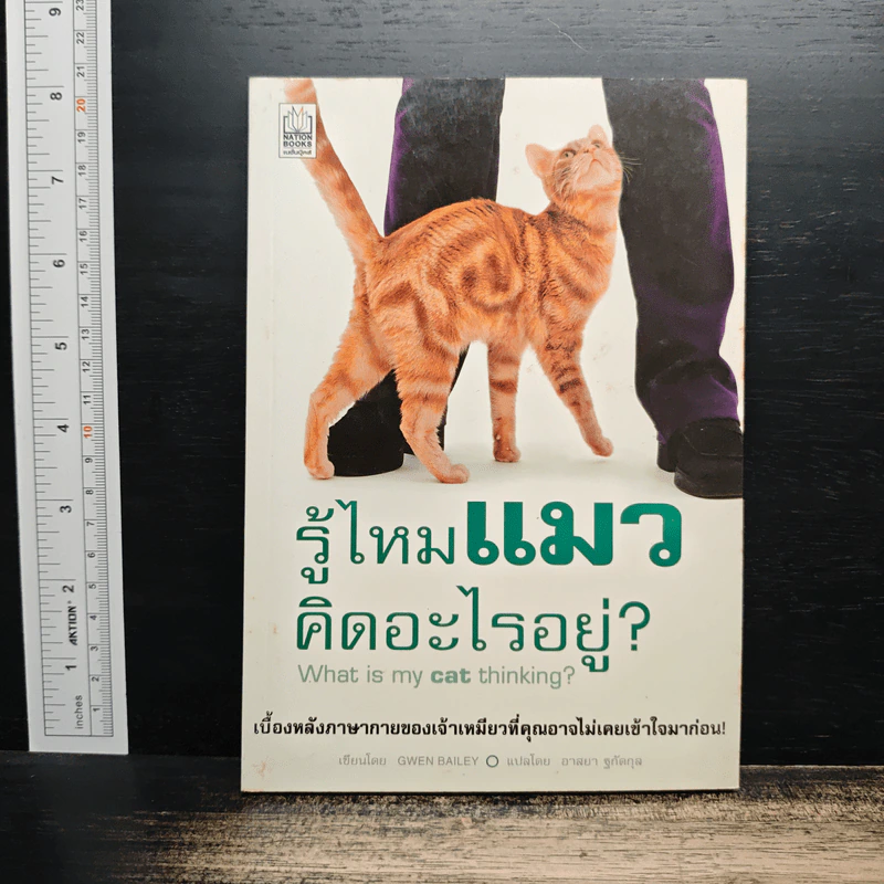 รู้ไหมแมวคิดอะไรอยู่? - Gwen Bailey รูปที่ 1