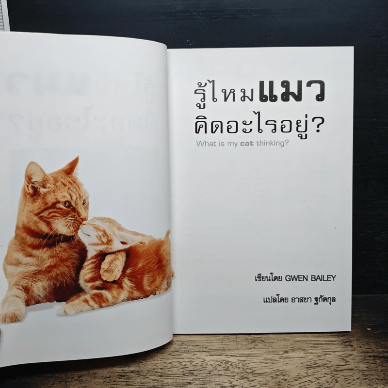 รู้ไหมแมวคิดอะไรอยู่? - Gwen Bailey รูปที่ 6