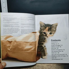 How to have a happy cat รูปที่ 6