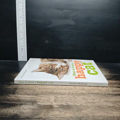 How to have a happy cat รูปที่ 3