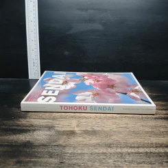 Tohoku Sendai รูปที่ 3