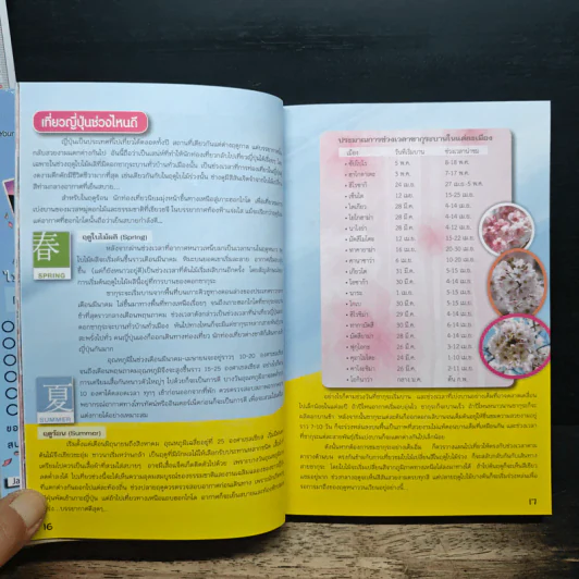 ญี่ปุ่นอยู่ในใจเสมอ#1 โตเกียว & คันโต รูปที่ 9