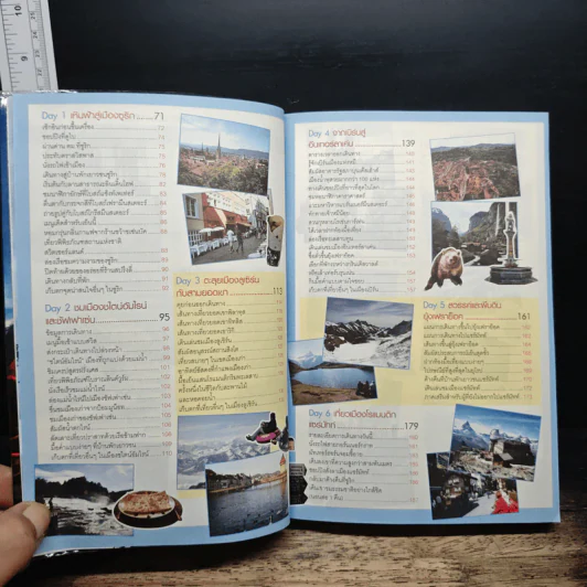 เที่ยวไม่ง้อทัวร์ ตีตั๋วตะลุยสวิตเซอร์แลนด์+ปารีส รูปที่ 8